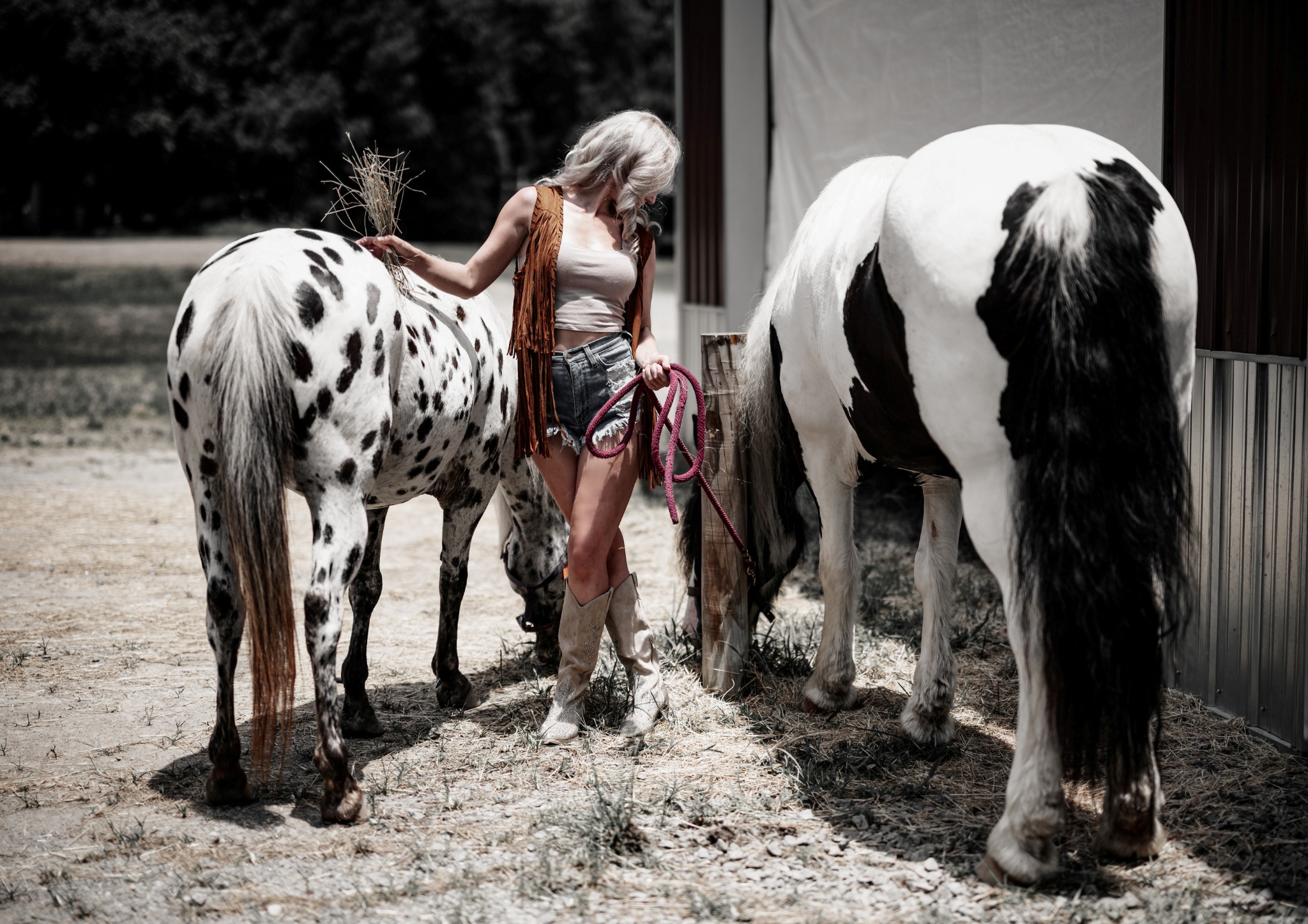 Western fashion portrait of a woman standing between two spotted horses